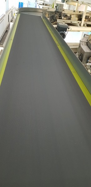 Lippert Belt Conveyor Riser Belt Conveyor GF 6645-650-500